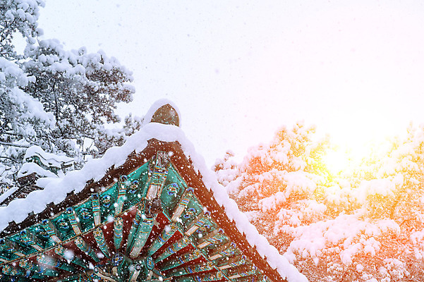 포토 JPG 해외이미지 나무 계절 아시아 조각 백그라운드 겨울 자연 하늘 산 서울 한국 동양인 풍경 사람없음 목재 태양 맑음 추위 가을 흰색 위험 시원함 흥분 해외202004 해외포토 자연요소 식물 감정 나라 컬러 컨셉 재료 날씨 인종 생태계 파일형식