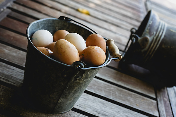 포토 JPG 해외이미지 음식 건강 사람없음 갈색 계란 신선 상품 양동이 유기농 날것 내추럴 해외202004 해외포토 웰빙 컬러 알 파일형식