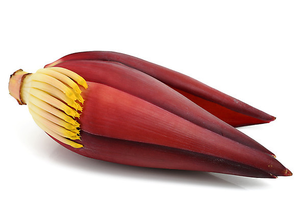 포토 JPG 해외이미지 전신 음식 과일 사람없음 빨간색 신선 흰배경 유기농 고립 해외202004 해외포토 웰빙 컬러 백그라운드 흰색 파일형식