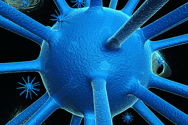 포토 JPG 해외이미지 과학 표면 세포 건강 병원 실험 사람 사람없음 파란색 약 3D 펼침 고통 흐름 죽음 혈액 오르간 바이러스 닫기 보호 질병 로봇 유기농 생물학 만들기 감염 미생물 암 테라피 박테리아 동맥 정맥 백신 유전 해외202004 해외포토 웰빙 교육 감정 컬러 컨셉 의학 모션 생물 뷰티 건반악기 디지털합성 혈관 파일형식