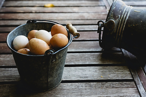 포토 JPG 해외이미지 음식 건강 사람없음 갈색 계란 신선 상품 양동이 유기농 날것 내추럴 해외202004 해외포토 웰빙 컬러 알 파일형식