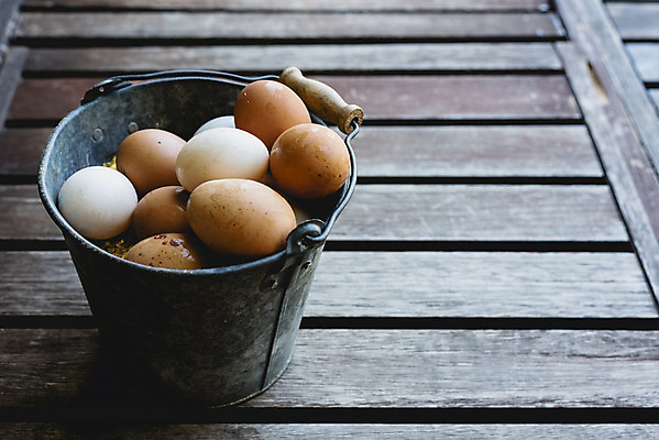 포토 JPG 해외이미지 음식 건강 사람없음 갈색 계란 신선 상품 양동이 유기농 날것 내추럴 해외202004 해외포토 웰빙 컬러 알 파일형식