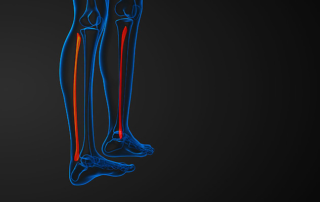 포토 JPG 해외이미지 부분 뼈 골격 엑스레이 건강 사람 사람없음 3D 해외202004 해외포토 의학 디지털합성 파일형식