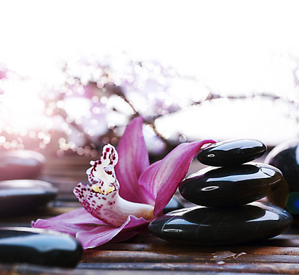 포토 JPG 해외이미지 꽃 백그라운드 컨셉 사람없음 쌓기 검은색 스파 조약돌 흰색 마사지 난초 테라피 해외202004 해외포토 식물 컬러 모션 뷰티 돌_바위 파일형식