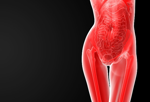 포토 JPG 해외이미지 여자 과학 신체 일러스트 해부 뼈 골격 엑스레이 건강 사람 사람없음 그래픽 파란색 3D 생물학 해외202004 해외포토 교육 컬러 의학 디지털합성 파일형식