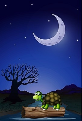 EPS 해외이미지 나무 동물 별 모래 일러스트 자연 하늘 산 선물 미소 야외 목재 그래픽 초록색 물 파란색 강 어둠 침묵 흙 껍질 달 흰색 나뭇가지 거북이 야간 저녁 땅 그림 통나무 뿌리 느림 자원 내추럴 깊이 등딱지 땅바닥 수목 해외202004 해외일러스트 자연요소 식물 컬러 재료 파충류 바닥 표정 소리 밤 생태계 파일형식 벡터