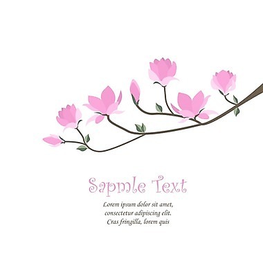 EPS 해외이미지 꽃 분홍색 일러스트 프레임 사람없음 봄 낭만 나뭇가지 목련 꽃프레임 프레임일러스트 해외202004 해외일러스트 나무 식물 계절 컬러 컨셉 파일형식 벡터