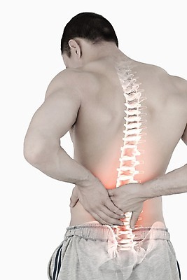 포토 JPG 해외이미지 남자 백그라운드 신체 뼈 골격 한명 20대 빨간색 고통 질병 척추 몸통 보여주기 요통 해외202004 해외포토 1 감정 컬러 의학 모션 사람 청년 신체부위 허리통증 파일형식