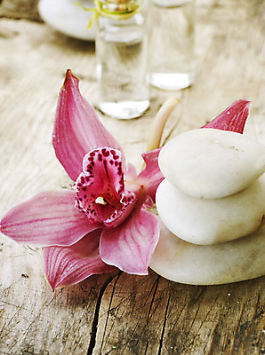 포토 JPG 해외이미지 꽃 분홍색 백그라운드 컨셉 사람없음 쌓기 스파 조약돌 흰색 마사지 난초 기름 오브젝트 아로마 테라피 해외202004 해외포토 식물 음식 컬러 모션 뷰티 돌_바위 파일형식