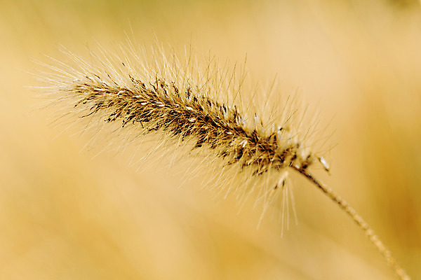 포토 JPG 해외이미지 나무 식물 구름 공원 바다 여행 잎 자연 하늘 산 갈대 풍경 경사 잔디 사람없음 야외 초록색 여름 파란색 노란색 맑음 중국 봄 안개 가을 황금 은색 대만 언덕 산등성이 오르기 통과 내추럴 해외202004 해외포토 자연요소 계절 공공시설 아시아 컬러 모션 날씨 생태계 파일형식