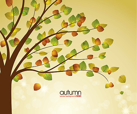 EPS 해외이미지 나무 식물 계절 공원 줄기 백그라운드 잎 오렌지 일러스트 자연 야외 목재 여름 갈색 노란색 환경 정원 성장 가을 나뭇가지 변화 고독 큼 연도 부식 싱글 내추럴 고립 생태학 옛날 노화 해외202004 해외일러스트 공공시설 교육 감정 컬러 컨셉 과일 재료 크기 생태계 파일형식 벡터