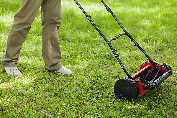 포토 JPG 해외이미지 한명 서기 사람 잔디 야외 옆모습 초록색 정원 하반신 원예사 남자한명만 잔디깎이 해외202004 해외포토 식물 직업 1 뷰포인트 컬러 모션 기계 남자만 파일형식