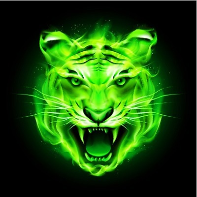 EPS 해외이미지 동물 1 디자인 백그라운드 일러스트 자연 불 불꽃 프레임 형상 미술 사람없음 그래픽 초록색 머리 검은색 고양이 힘 줄무늬 분노 원형 그리기 호랑이 치아 더위 위험 만화 문신 심볼 사인 그림 매움 육식동물 송곳니 고립 동물상 엘리먼트 포효 해외202004 해외일러스트 자연요소 도형 감정 컬러 컨셉 무늬 포유류 모션 날씨 문화예술 신체부위 반려동물 조형물 외침 소화기관 맛 생태계 파일형식 벡터