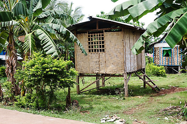 포토 JPG 해외이미지 나무 전통 행복 아시아 도로 섬 여행 백그라운드 비즈니스 건축양식 교통시설 자연 휴가 거리 주택 손바닥 동양인 사람없음 야외 건물 장식 여름 도시풍경 세계 야자수 마을 수확 시골 도시 가난 타운 이국적 해외202004 해외포토 식물 건축물 손 계절 건축 감정 나라 길 교통 컨셉 농업 인종 풍경 시설 생태계 파일형식