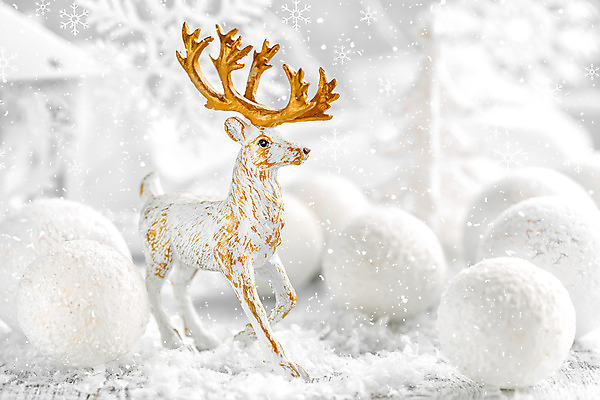 포토 JPG 해외이미지 나무 전통 디자인 백그라운드 크리스마스 겨울 공 사슴 새로움 기념 매달리기 선물 사람없음 장식 반짝임 축제 장식볼 흰색 축하 눈송이 우아함 은색 12월 해외202004 해외포토 식물 계절 기념일 컬러 컨셉 포유류 모션 눈_날씨 날짜 파일형식