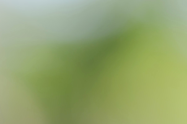 포토 JPG 해외이미지 템플릿 디자인 백그라운드 컨셉 패턴 일러스트 벽지 추상 미술 사람없음 그래픽 장식 초록색 빛 디지털 블러 스펙트럼 엘리먼트 해외202004 해외포토 컬러 무늬 문화예술 파일형식