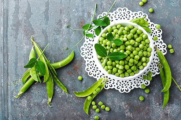 포토 JPG 해외이미지 실내 사람없음 하이앵글 담기 완두콩 해외202004 해외포토 뷰포인트 모션 콩 내부 파일형식