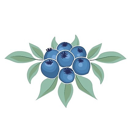 EPS 해외이미지 식물 템플릿 손 디자인 열매 포스터 음식 백그라운드 잎 과일 일러스트 비즈니스 자연 추상 디저트 프레임 건강 미술 그래픽 장식 초록색 여름 파란색 라벨 수확 덮개 흰색 신선 신용카드 달콤 상품 심볼 메뉴 그림 유기농 복고 블루베리 초대 내추럴 고립 채식주의자 해외202004 해외일러스트 웰빙 계절 컬러 무늬 농업 문화예술 신체부위 금융 뚜껑 맛 생태계 채식 파일형식 벡터