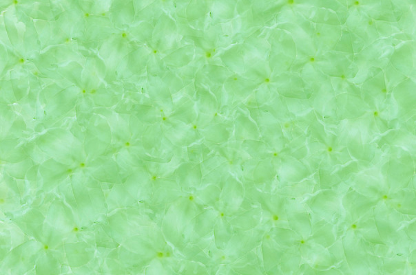 포토 JPG 해외이미지 템플릿 기념일 꽃 포스터 선 벽 백그라운드 컨셉 곡선 벽지 추상 사람없음 그래픽 장식 컬러풀 보라색 줄무늬 낭만 인사 신용카드 우아함 그림 질감 서식 초대 구성 엘리먼트 인기 스타일 해외202004 해외포토 식물 컬러 무늬 이벤트 금융 예절 파일형식