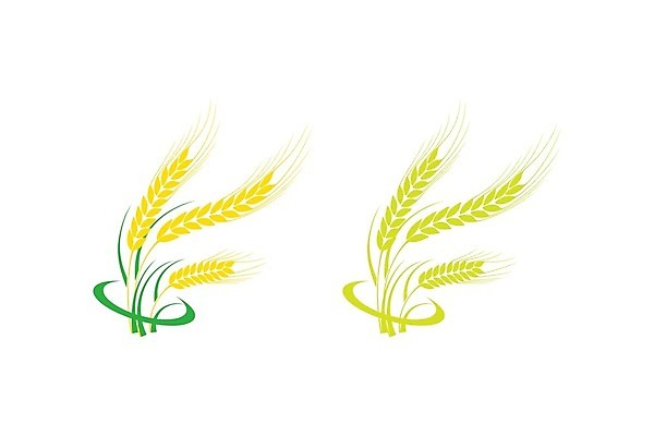 EPS 해외이미지 식물 음식 빵 백그라운드 밭 농업 일러스트 자연 밥 건강 옥수수 씨앗 농작물 농장 라벨 수확 황금 낟알 시리얼 밀 유기농 보리 귀 내추럴 호밀 귀리 해외202004 해외일러스트 웰빙 산업 곡류 프레임 신체부위 생태계 파일형식 벡터