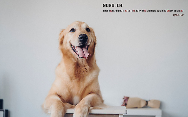 JPG 월페이퍼 바탕화면 4월 날짜 파일형식