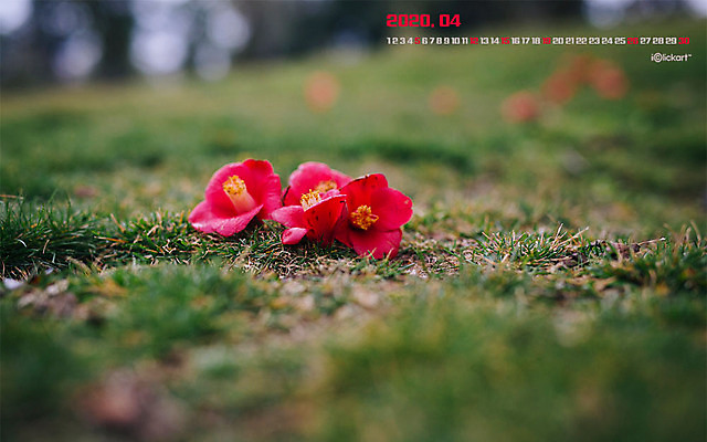 JPG 월페이퍼 바탕화면 4월 날짜 파일형식