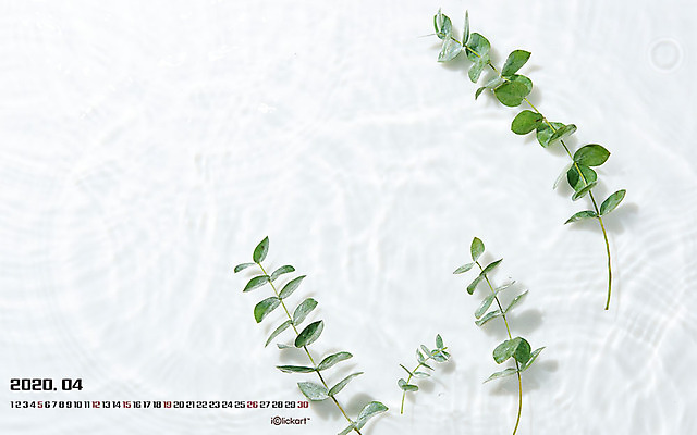 JPG 월페이퍼 바탕화면 4월 날짜 파일형식