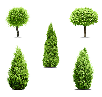 포토 JPG 해외이미지 나무 디자인 계절 실루엣 백그라운드 일러스트 자연 추상 풍경 사람없음 야외 목재 그래픽 장식 초록색 환경 정원 봄 성장 흰색 나뭇가지 숲 심볼 내추럴 고립 엘리먼트 해외202004 해외포토 식물 컬러 무늬 재료 촬영기법 생태계 파일형식