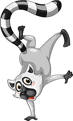 EPS 해외이미지 클립아트 동물 캐릭터 1 손 감정 얼굴 줄 클리핑패스 일러스트 장난 포유류 기술 건강 서기 검은색 힘 줄무늬 흰색 표현 만화 즐거움 오브젝트 싱글 흰배경 꼬리 고립 마다가스카르 여우원숭이 이국적 캐리커처 특별함 해외202004 해외일러스트 일러캐릭터 컬러 백그라운드 컨셉 무늬 모션 신체부위 원숭이 그림 파일형식 벡터