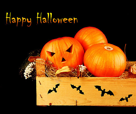 포토 JPG 해외이미지 전통 계절 음식 백그라운드 잎 채소 촛불 자연 호박 미소 웃음 사람없음 장식 노란색 파티 검은색 할로윈 가을 등불 축하 표현 유령 야간 무서움 오브젝트 박쥐 10월 잭오랜턴 호러 오싹 해외202004 해외포토 자연요소 식물 감정 컬러 컨셉 초 포유류 조명 표정 이벤트 날짜 생태계 공포 파일형식