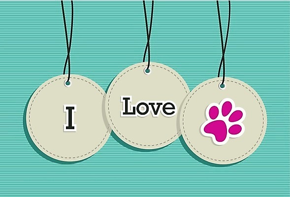 EPS 해외이미지 동물 디자인 실루엣 새끼 백그라운드 일러스트 휴식 털 매달리기 사랑 반려동물 세트 픽토그램 반사 유행 꼬리표 고양이 수확 흰색 원형 개 강아지 보호 심볼 오브젝트 사인 싱글 복고 심플 배지 멀티미디어 I 돌봄 바늘땀 엘리먼트 해외202004 해외일러스트 도형 알파벳 감정 컬러 컨셉 농업 포유류 모션 촬영기법 라벨 파일형식 벡터