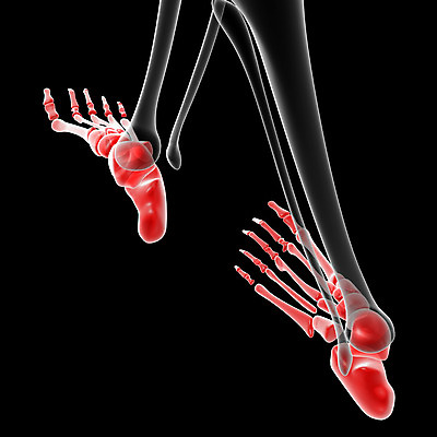 포토 JPG 해외이미지 과학 신체 일러스트 해부 뼈 골격 엑스레이 건강 사람 사람없음 그래픽 3D 고통 질병 생물학 만들기 골다공증 발가락 발목 양발 연골 해외202004 해외포토 교육 감정 의학 모션 발 디지털합성 파일형식