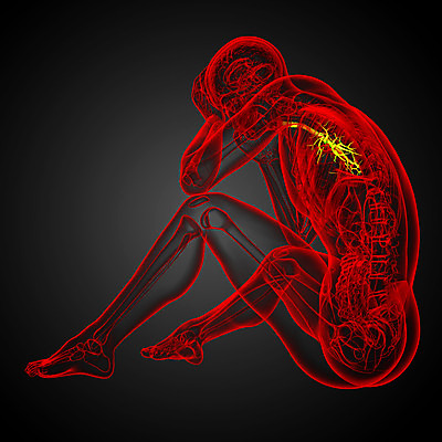 포토 JPG 해외이미지 과학 신체 해부 건강 사람 사람없음 보라색 오르간 해외202004 해외포토 컬러 의학 건반악기 파일형식
