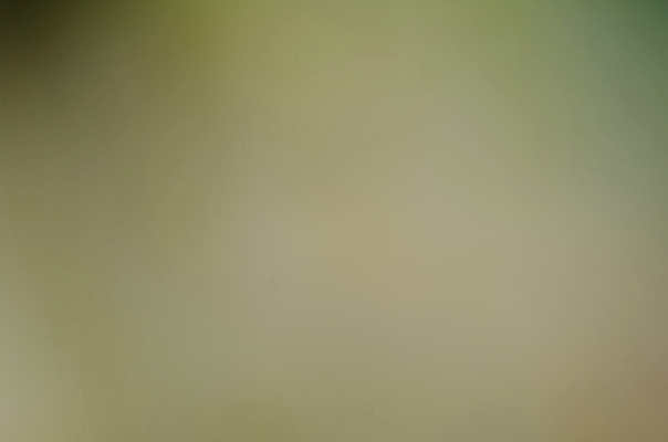 포토 JPG 해외이미지 템플릿 디자인 백그라운드 컨셉 패턴 일러스트 벽지 추상 미술 사람없음 그래픽 장식 빛 갈색 디지털 블러 스펙트럼 엘리먼트 해외202004 해외포토 컬러 무늬 문화예술 파일형식