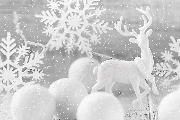 포토 JPG 해외이미지 전통 디자인 백그라운드 크리스마스 겨울 공 사슴 새로움 기념 매달리기 사람없음 장식 빛 축제 장식볼 흰색 축하 눈송이 우아함 은색 12월 묘사 해외202004 해외포토 계절 기념일 컬러 컨셉 포유류 모션 눈_날씨 날짜 파일형식