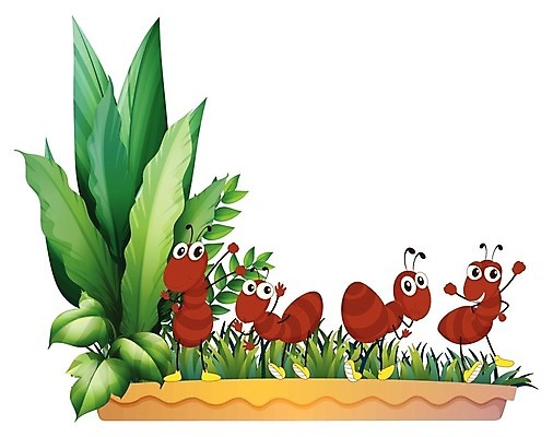 EPS 해외이미지 식물 곤충 백그라운드 잎 신체 일러스트 놀이 안테나 그래픽 초록색 갈색 노란색 걷기 산책 흰색 4 그룹 냄비 그림 개미 고립 양치류 많음 해외202004 해외일러스트 동물 컬러 컨셉 통신 모션 휴식 숫자 솥 파일형식 벡터 문자 주방용품 생활용품 오브젝트