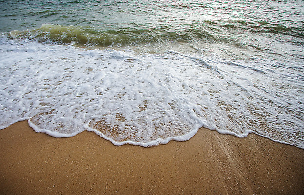 포토 JPG 해외이미지 모래 파도 바다 여행 백그라운드 자연 조류 휴가 사람없음 물 여름 우주 일몰 거품 흰색 서핑 질감 해외202004 해외포토 자연요소 동물 계절 컬러 노을 수상스포츠 생태계 파일형식