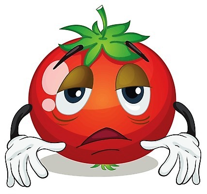 EPS 해외이미지 클립아트 토마토 일러스트 사람없음 빨간색 음식캐릭터 해외202004 해외일러스트 일러캐릭터 캐릭터 음식 컬러 채소 파일형식 벡터