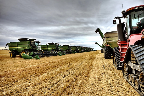 포토 JPG 해외이미지 산업 캐나다 패턴 밭 농업 풍경 사람없음 야외 농작물 수확 추수 가을 해외202004 해외포토 계절 북아메리카 무늬 파일형식