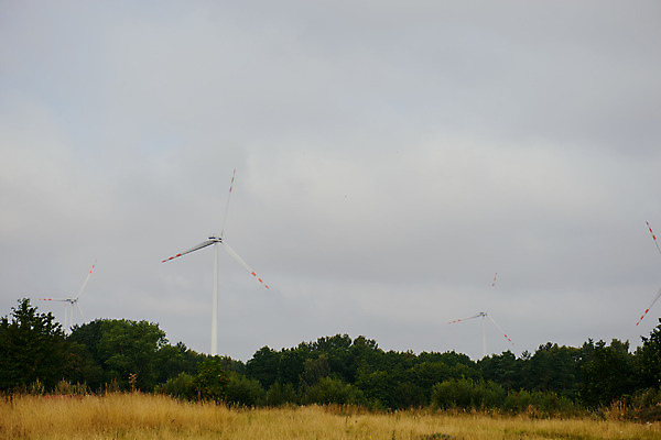 포토 JPG 해외이미지 산업 백그라운드 자연 하늘 바람 풍경 사람없음 초록색 물 여름 파란색 태양 농장 3D 탑 힘 봄 재활용 풍차 발전기 에너지 회전 세대 개발 해외202004 해외포토 자연요소 건축물 계절 컬러 농업 날씨 발전소 디지털합성 친환경 생태계 파일형식