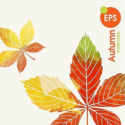 EPS 해외이미지 식물 백그라운드 잎 일러스트 자연 수채화 사람없음 빨간색 초록색 노란색 가을 밤 해외202004 해외일러스트 계절 컬러 견과류 생태계 파일형식 벡터