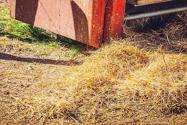 포토 JPG 해외이미지 산업 농업 자연 건조 풍경 사람없음 야외 농작물 농장 농경지 가축 목장 수확 추수 가을 건초더미 볏짚 밀 밀짚 호밀 수평선 해외202004 해외포토 동물 계절 곡류 건초 짚 생태계 파일형식 더미