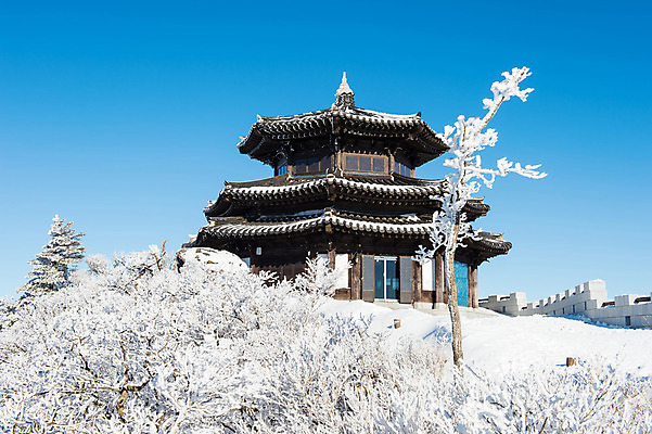포토 JPG 해외이미지 나무 백그라운드 겨울 자연 하늘 산 서울 한국 풍경 사람없음 태양 맑음 추위 언덕 눈내림 해외202004 해외포토 자연요소 식물 계절 아시아 날씨 눈_날씨 생태계 파일형식
