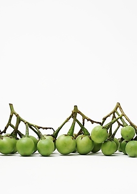 포토 JPG 해외이미지 식물 라이프스타일 여자 꽃 산업 음식 백그라운드 컨셉 잎 다이어트 가족 자연 추상 건강 사람 사람없음 치료 초록색 알약 약 스파 중국 흰색 질병 약국 허브 묘사 처방 테라피 조제 내추럴 보충 고립 돌봄 복용 치료제 해외202004 해외포토 아시아 컬러 무늬 의학 관계 모션 생활 뷰티 생태계 만들기 파일형식