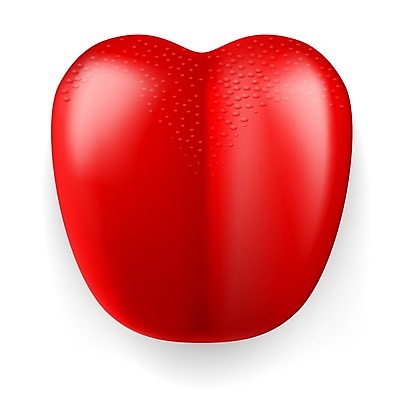 EPS 해외이미지 모양 1 디자인 곡선 일러스트 해부 말하기 미술 사람 그래픽 빨간색 빛 입 오르간 맛 핥기 플라스틱 만화 혀 심볼 묘사 그림 심플 윤곽 광택 진홍색 고립 대칭 완벽 해외202004 해외일러스트 선 컬러 컨셉 의학 모션 재질 문화예술 신체부위 건반악기 파일형식 벡터