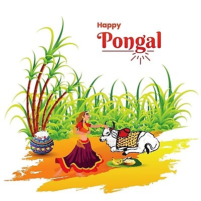 EPS 해외이미지 전통 배너 포스터 종교 문화 백그라운드 농업 일러스트 텍스트 추상 휴가 이벤트 축제 댄서 수확 흰색 축하 메시지 소 농부 인도인 감사 기회 소원 숭배 힌두교 사탕수수 레터링 해외202004 해외일러스트 외국인 식물 직업 감정 산업 컬러 컨셉 무늬 포유류 동양인 파일형식 벡터