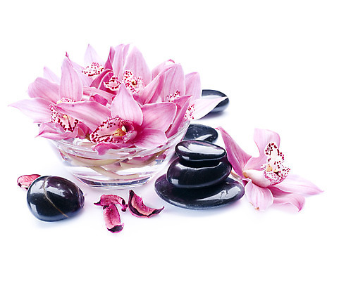 포토 JPG 해외이미지 꽃 분홍색 백그라운드 컨셉 사람없음 물 쌓기 검은색 스파 조약돌 흰색 마사지 난초 오브젝트 테라피 해외202004 해외포토 자연요소 식물 컬러 모션 뷰티 돌_바위 파일형식