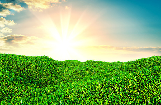 포토 JPG 해외이미지 식물 하늘 날씨 풍경 잔디 초원 사람없음 야외 초록색 맑음 봄 전원 해외202004 해외포토 계절 컬러 전기에너지 파일형식