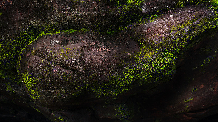 포토 JPG 해외이미지 식물 공원 아시아 백그라운드 잎 태국 자연 표면 이끼 동양인 사람없음 야외 초록색 어둠 봄 젖음 성장 바위 신선 숲 열대우림 묘사 질감 내추럴 옛날 해외202004 해외포토 계절 공공시설 나라 컬러 인종 돌_바위 생태계 파일형식