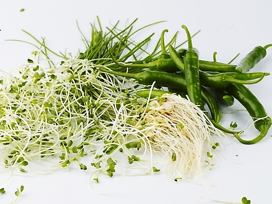 포토 JPG 스튜디오촬영 음식 채소 식재료 고추 실내 사람없음 가로 초록색 농작물 신선 무순 풋고추 달래 국내포토 컬러 농업 내부 새싹채소 파일형식